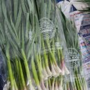 외동농협 하나로마트 이미지