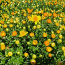 남산공원(정자아래) 이미지