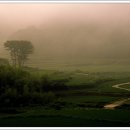 철마중리마을 이미지