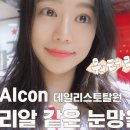 리스안경 네이버블로그