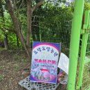 도담도담농장 | 맛집성공/경기북부맛집/연천맛집/복숭아맛집/연천복숭아맛집/복숭아맛집 도담도담농원에 다녀오다