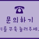 개네가고양이네