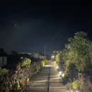 어쩌다영락 | [제주 서귀포] 제주 그 자체 숙소 - <어쩌다영락>