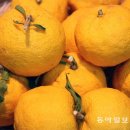 이곤목장 | 식품 이야기10/ 황광해의 역사 속 한식1/ 2015-10-06 잡채상서와 김치정승 - 2016-04-27 추어탕