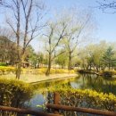 용산가족공원 이미지