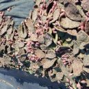 장속농장 이미지