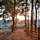 관산체육관 이미지