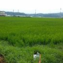 은정농장 이미지