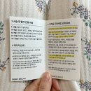 창원 눈썹 문신 잘하는 곳: 비비비브로우 / 창원 잔흔 커버업