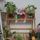 주식회사 호재 이미지