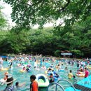 성주산자연휴양림 이미지