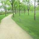 오천그린광장 이미지