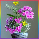 아름다운 꽃 그림 이미지 이미지