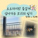 청솔중학교 | 보리의 일기 7/11~7/19 (오이로 시작해서 오이로 끝나기)