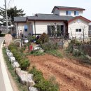 선원면-6 이미지