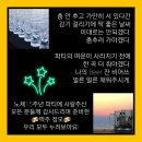 잔비어쓰 이미지