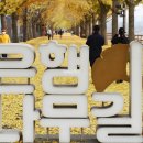 황금빛 가로수길 이미지