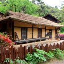 금강송체험야영장 이미지