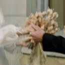 나인쓰리 | W3. 익산 웨스턴라이프 본식 스냅 "쓰리나인" 예약후기