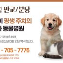 판교종합동물병원 네이버블로그
