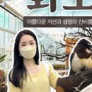 제주팔레스호텔 이미지