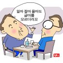 일마 이미지