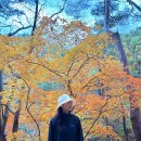 용연공원(도로변) | 주왕산 단풍절정시기 2025 실시간 청송 여행 후기