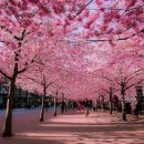 행정사 사람중심 사무소 이미지