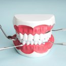 새하얀치과의원 이미지