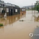 '110년 기록적 폭우' 강릉·속초 산사태 막았지만 저지대 물난리 이미지