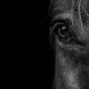 좋은친구카서비스 이미지