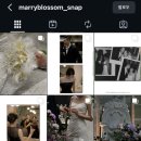 블로썸 | W.04 본식아이폰스냅 메리블로썸 계약후기