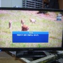 (주)티비소리인터넷 이미지