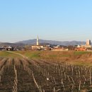 추억이 담긴것 이미지