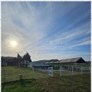 조이펜션 이미지