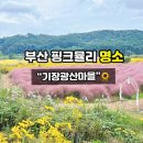 광산마을회관 | 올해 마지막인 부산 핑크뮬리 명소 기장 광산 마을 주차 정보 및 방문 후기