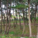 용산2농장 Daum카페