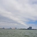 벅스존 코리아 네이버블로그