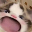 두피랑피부랑