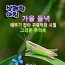 너참;예쁘다