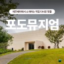 다우미디어 | 제주 가볼만한곳 포도뮤지엄 전시 추천! 입장료 & 운영 정보🍇