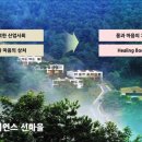 아픔이 사람을 키운다 이미지