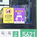 (주)모바일버스 | 버스 요금 자동결제 되는 모바일티머니 태그리스 사용법 후기