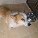 남양주유소 이미지