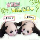 🐼판다 달글🐼 이미지