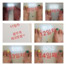 내돈내산 앤뷰티다이어트 2주일후기
