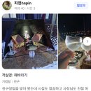펜션캐빈 | # 후기가 증명하는 강릉 최고의 숙소, 경포캐빈펜션