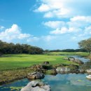 제이엠카서비스 이미지