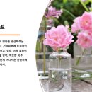 향기치유교육원 이미지