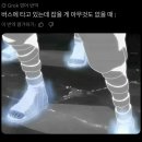 교환학생 13~18주차 :: 독일 여름 정상영업합니다... 폐업합시다 빨리